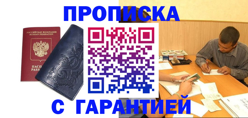 временная регистрация госуслуги в Опочке